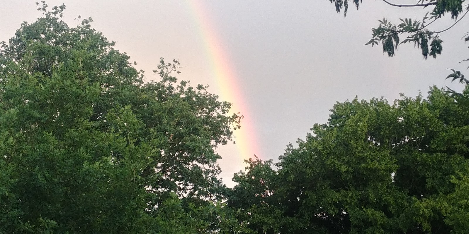 Regenboog na een bui