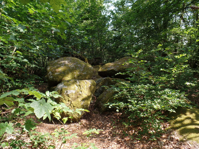 Wandeling Mont Dône 2