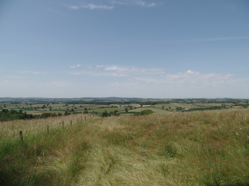 Wandeling Mont Dône 3